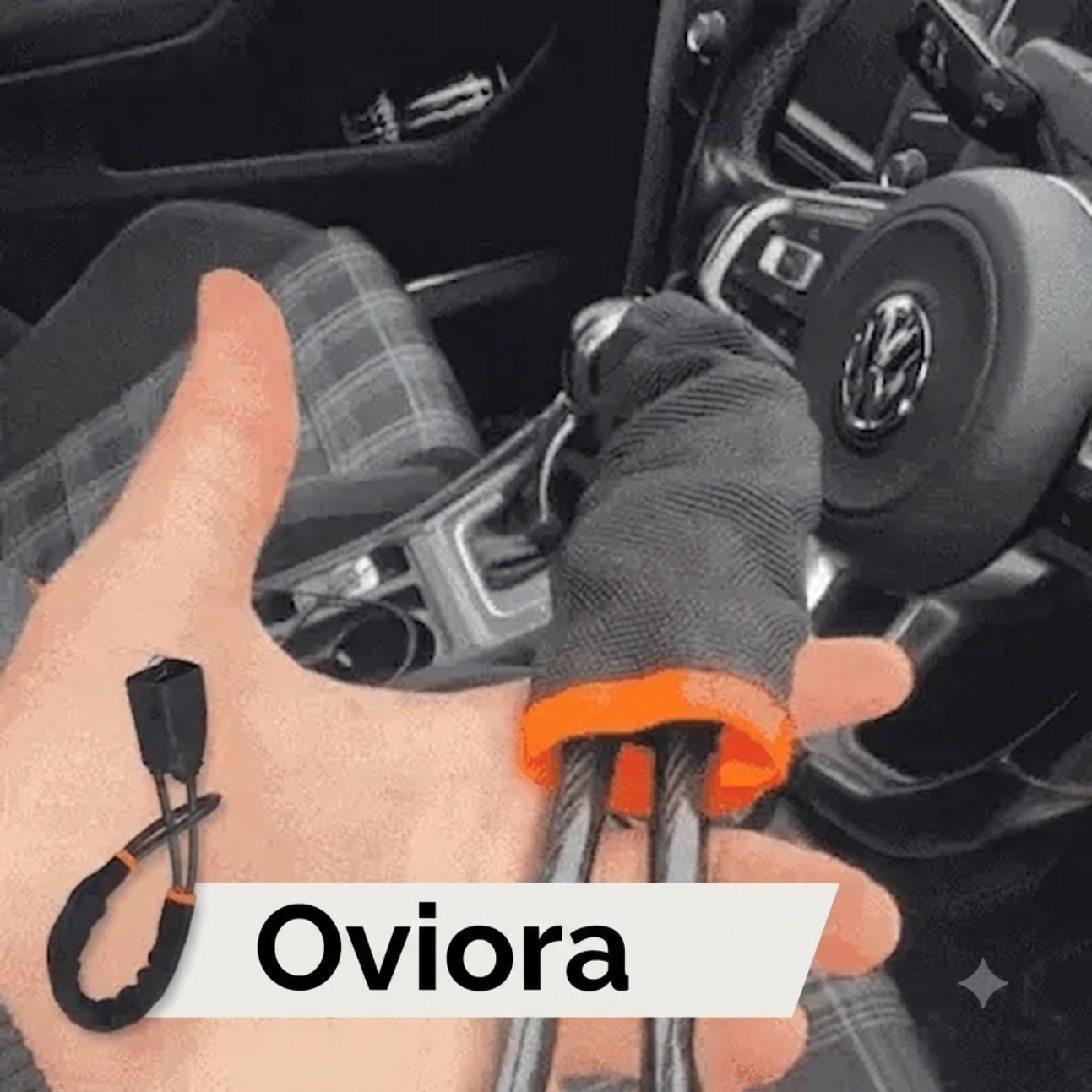 Oviora's RigGuard