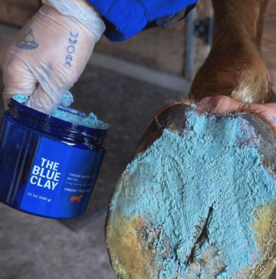 The Blue Hoof Bundle